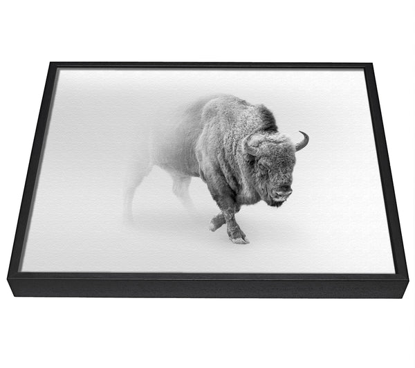 A picture of a Bison In The Mist framed canvas print sold by Wallart-Direct.co.uk