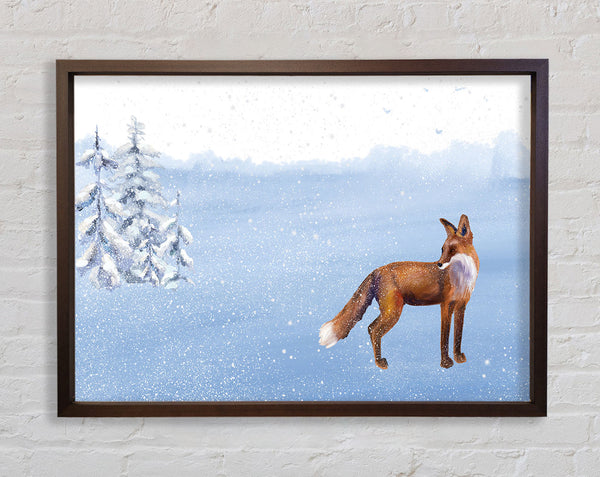 Fox In The Delicate Snow