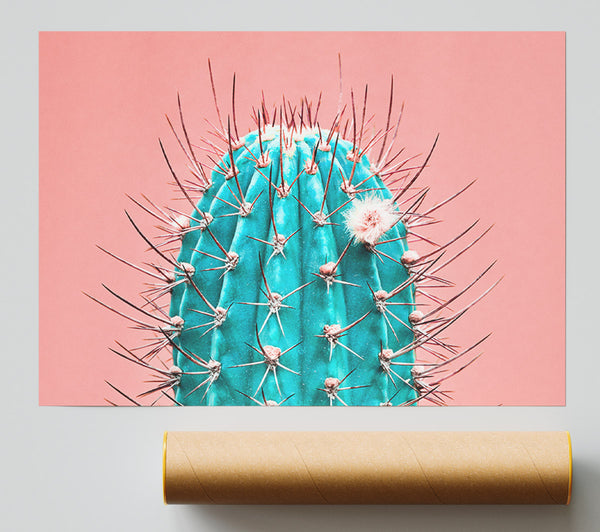 Teal Cactus