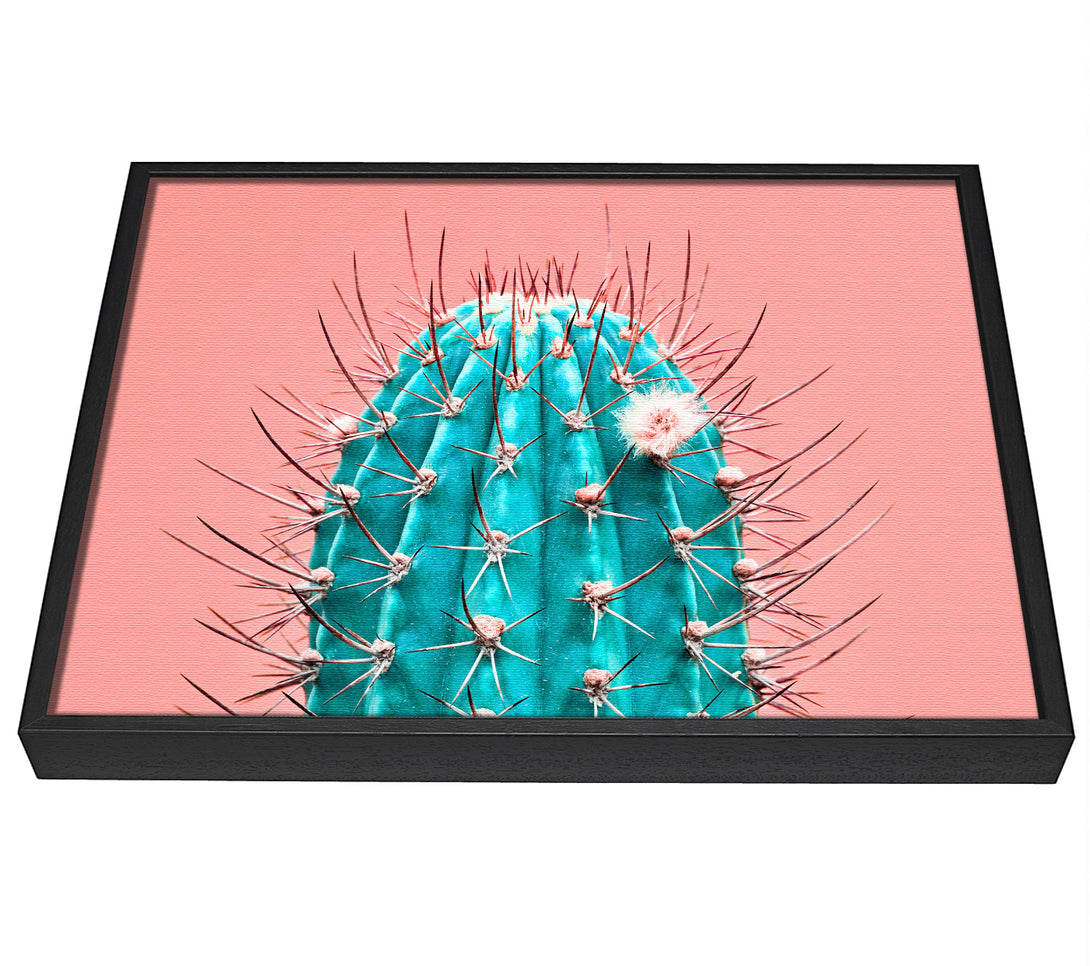 A picture of a Teal Cactus framed canvas print sold by Wallart-Direct.co.uk