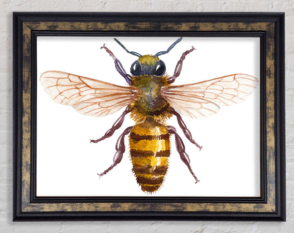 Watercolour Bee