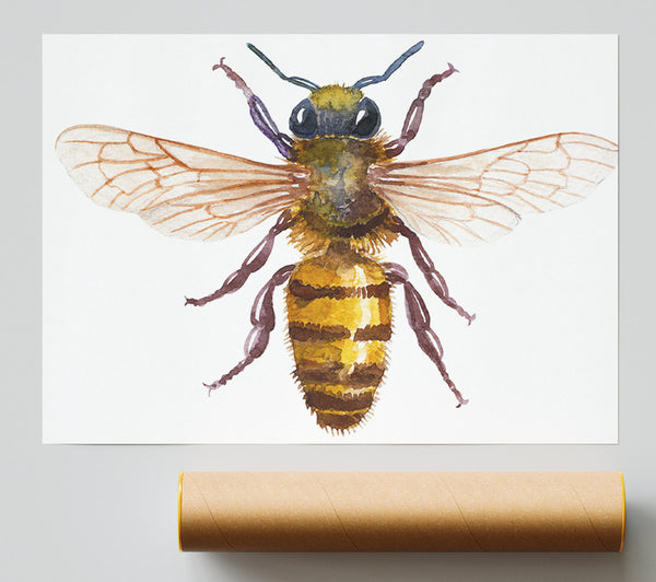 Watercolour Bee