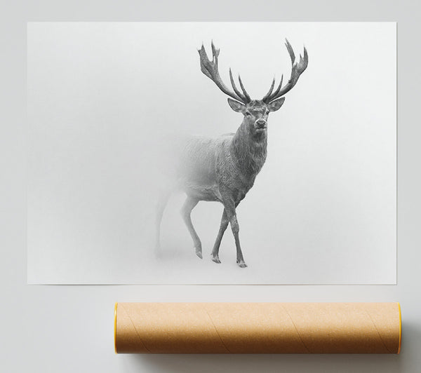 Stag In The Mist