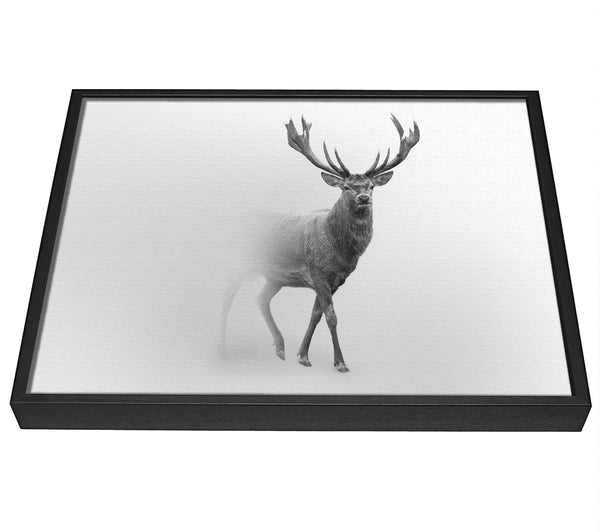 A picture of a Stag In The Mist framed canvas print sold by Wallart-Direct.co.uk