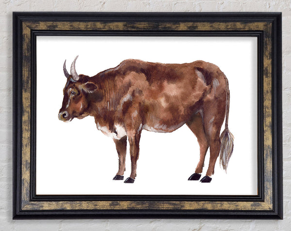 Big Brown Cow