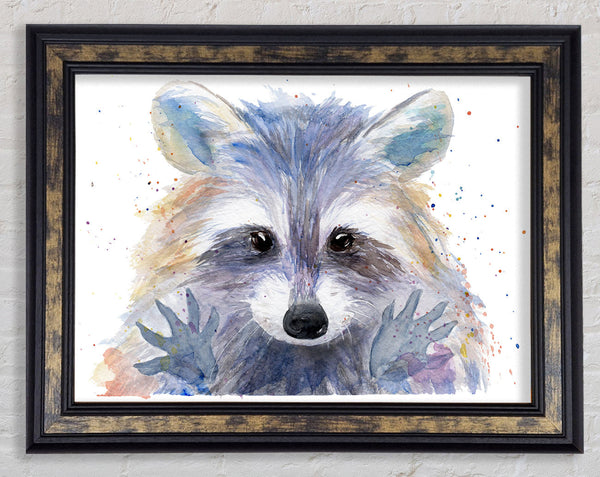 Watercolour Raccoon