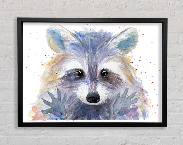 Aquarell Waschbär 