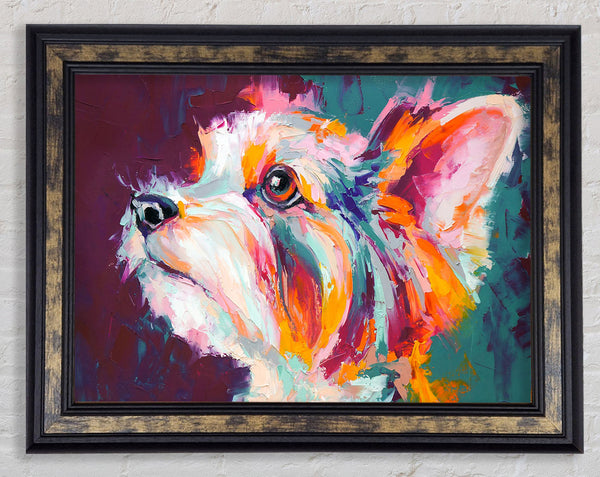 Vibrant Yorkshire Terrier