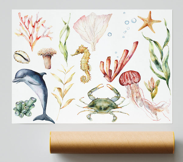 Water Colour Sea Creatures