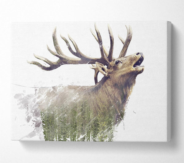 Double Exposure Stag