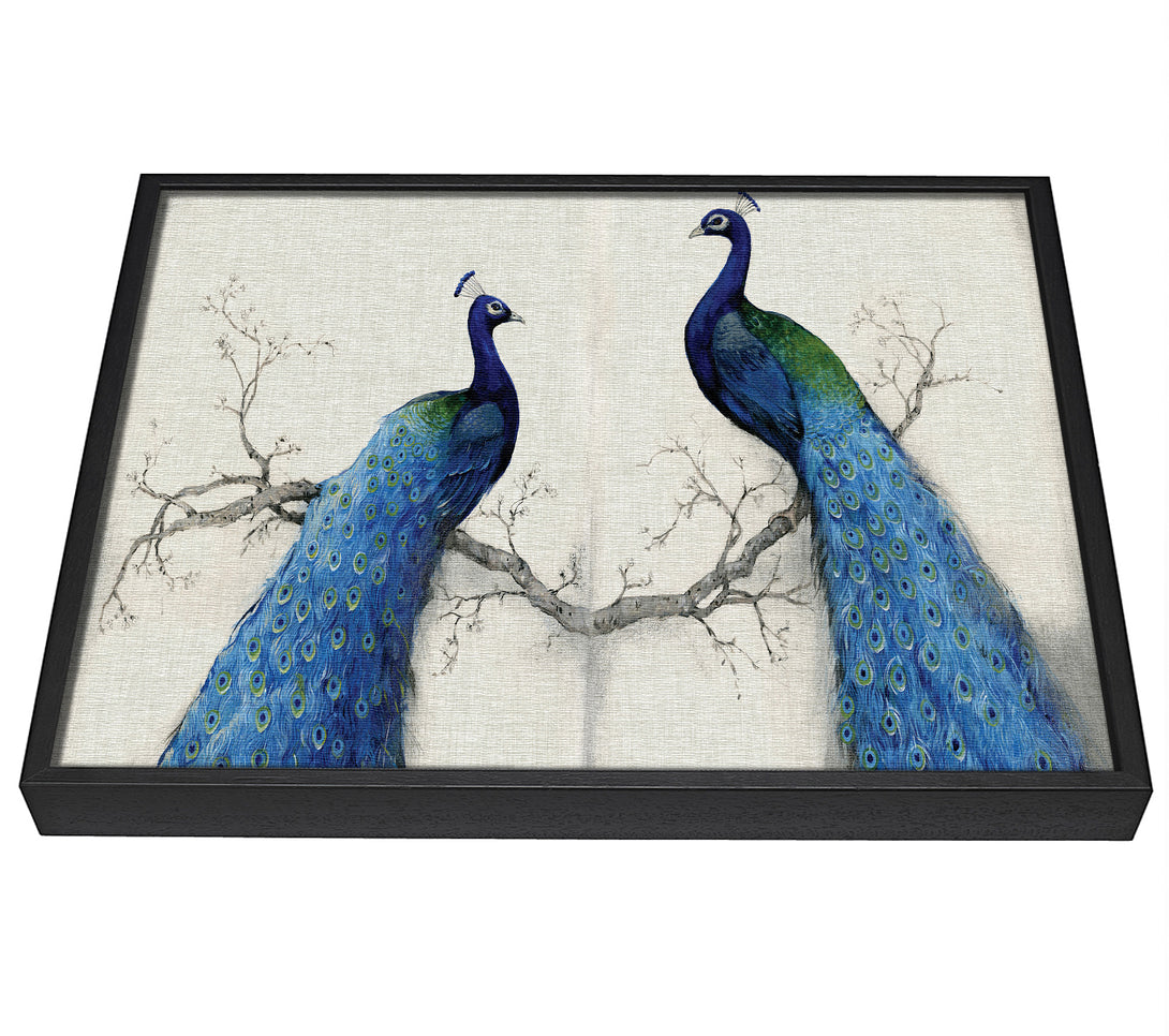 A picture of a The Peacock Duo framed canvas print sold by Wallart-Direct.co.uk