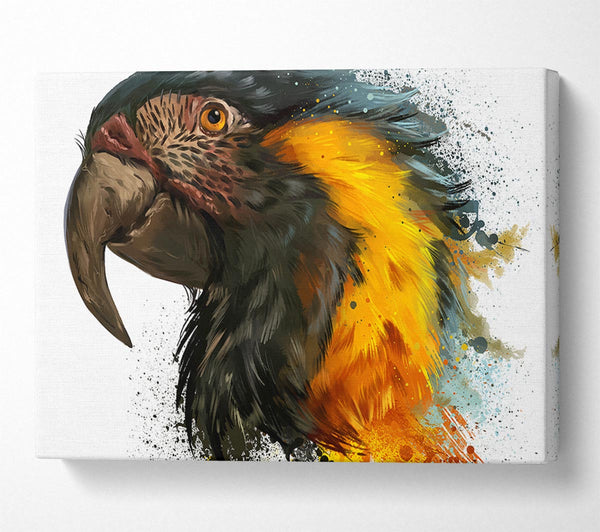 Rainbow Splatter Parrot