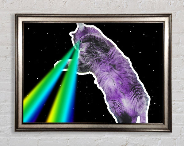 Cat Lazer Beam Space