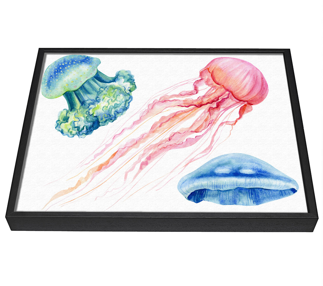 A picture of a The Jellyfish Of The Sea framed canvas print sold by Wallart-Direct.co.uk