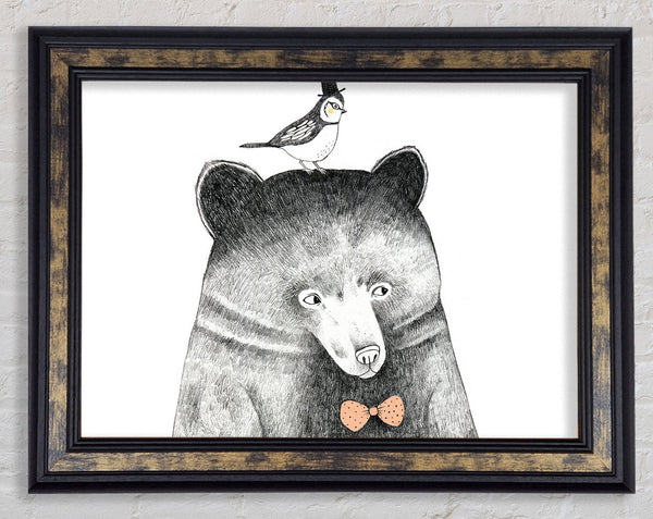 Bird And Bear