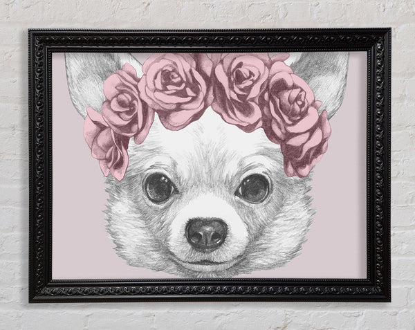 Flower Head Chihuahua