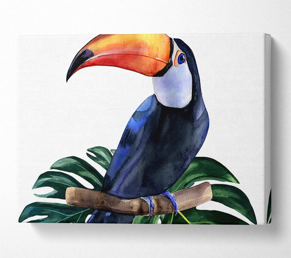 Palm Leaf Toucan