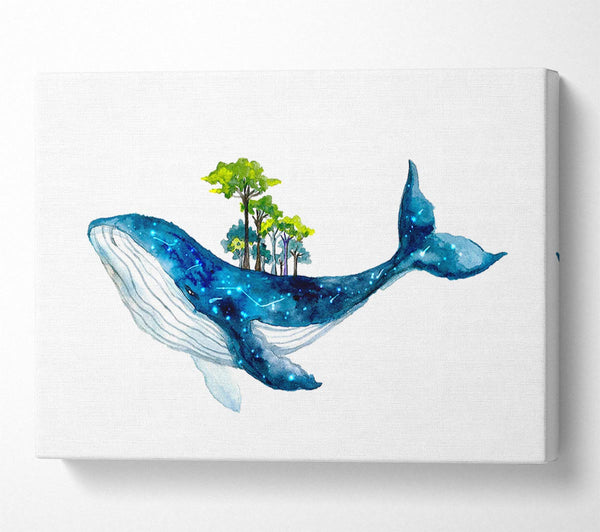 The Whale Forest