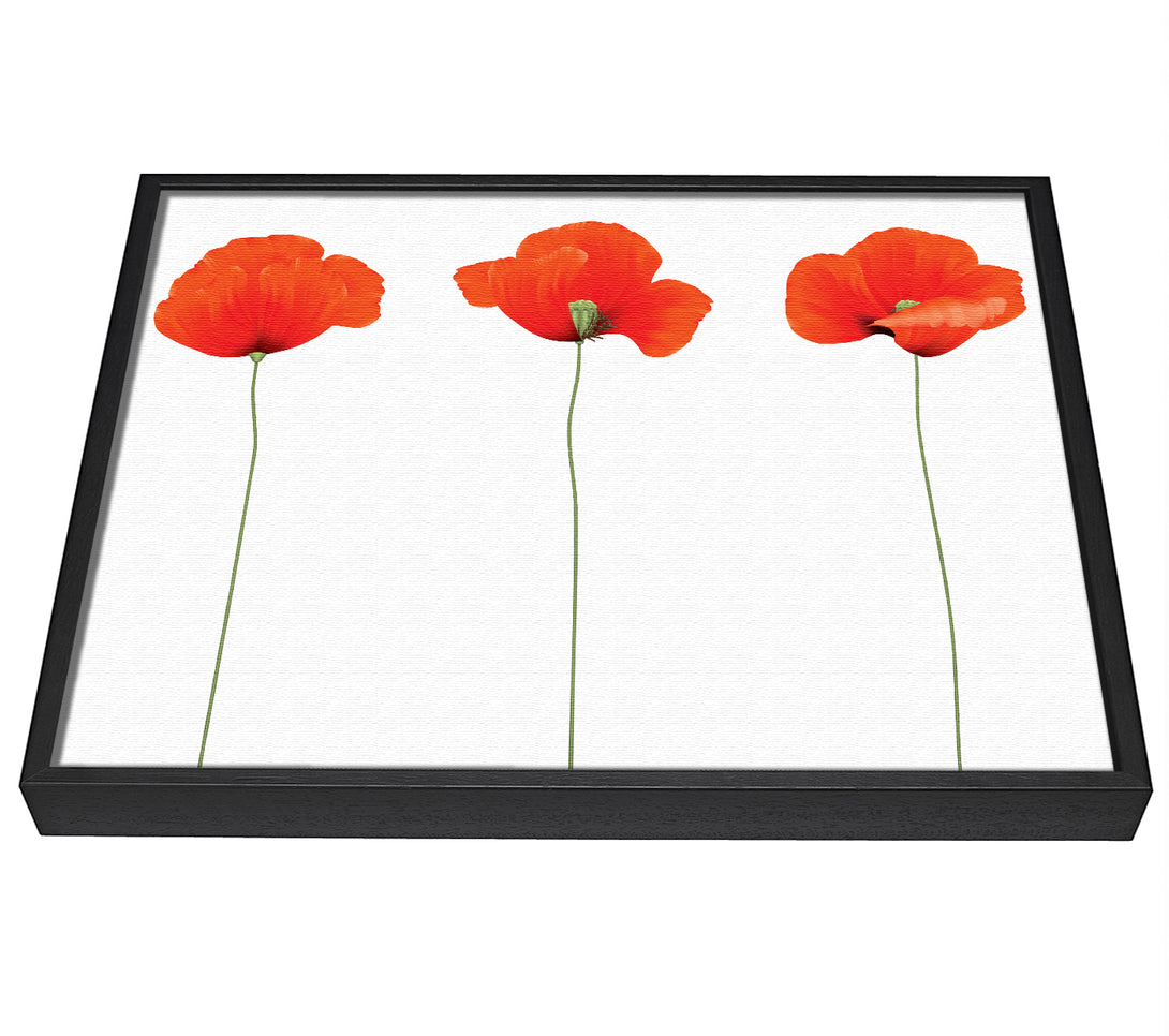 A picture of a Three Poppies Standing framed canvas print sold by Wallart-Direct.co.uk