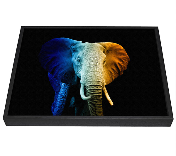 A picture of a Tri Coloured Elephant framed canvas print sold by Wallart-Direct.co.uk