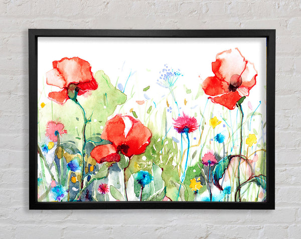 Poppies And Mixed Flowers