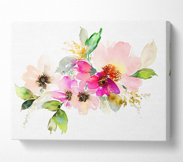 The Watercolour Flower Paint