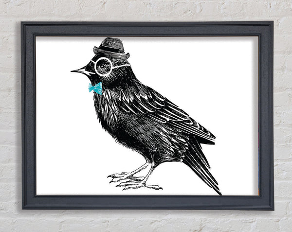 Hipster Crow