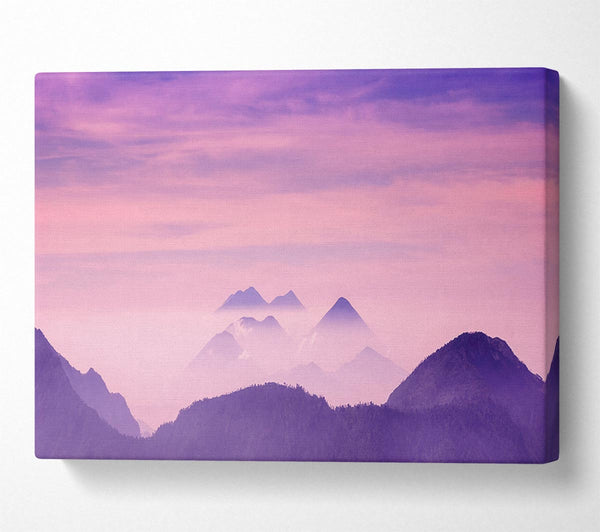 Lavender Mountain Top