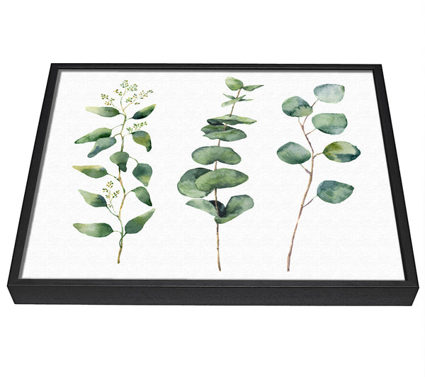 A picture of a Three Green Foliage Stems framed canvas print sold by Wallart-Direct.co.uk