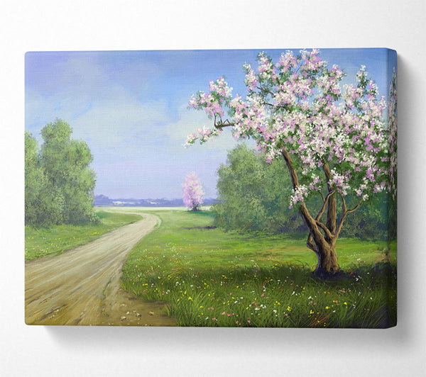 The Road Through The Blossom