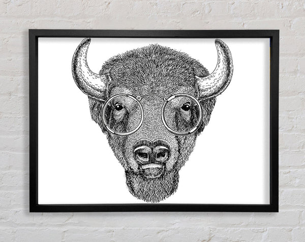 Glasses On A Bison