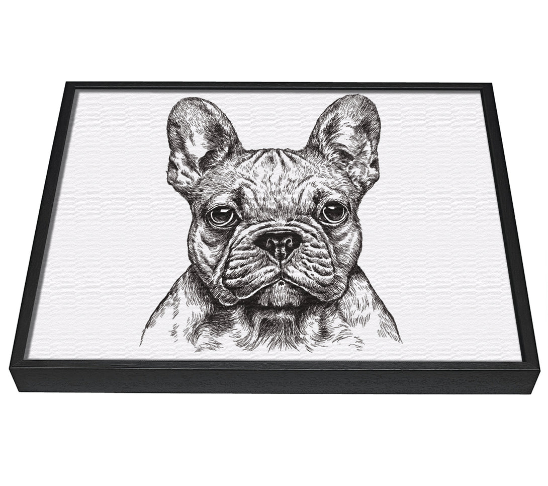 A picture of a French Bulldog Sketch framed canvas print sold by Wallart-Direct.co.uk