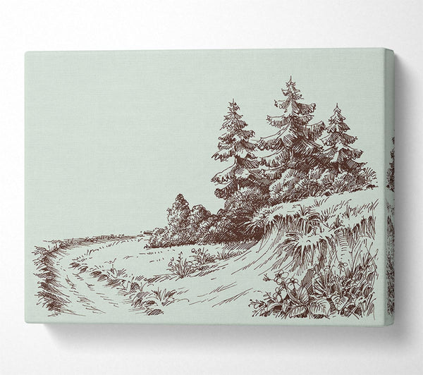 Sketch Of The Canadian Pines