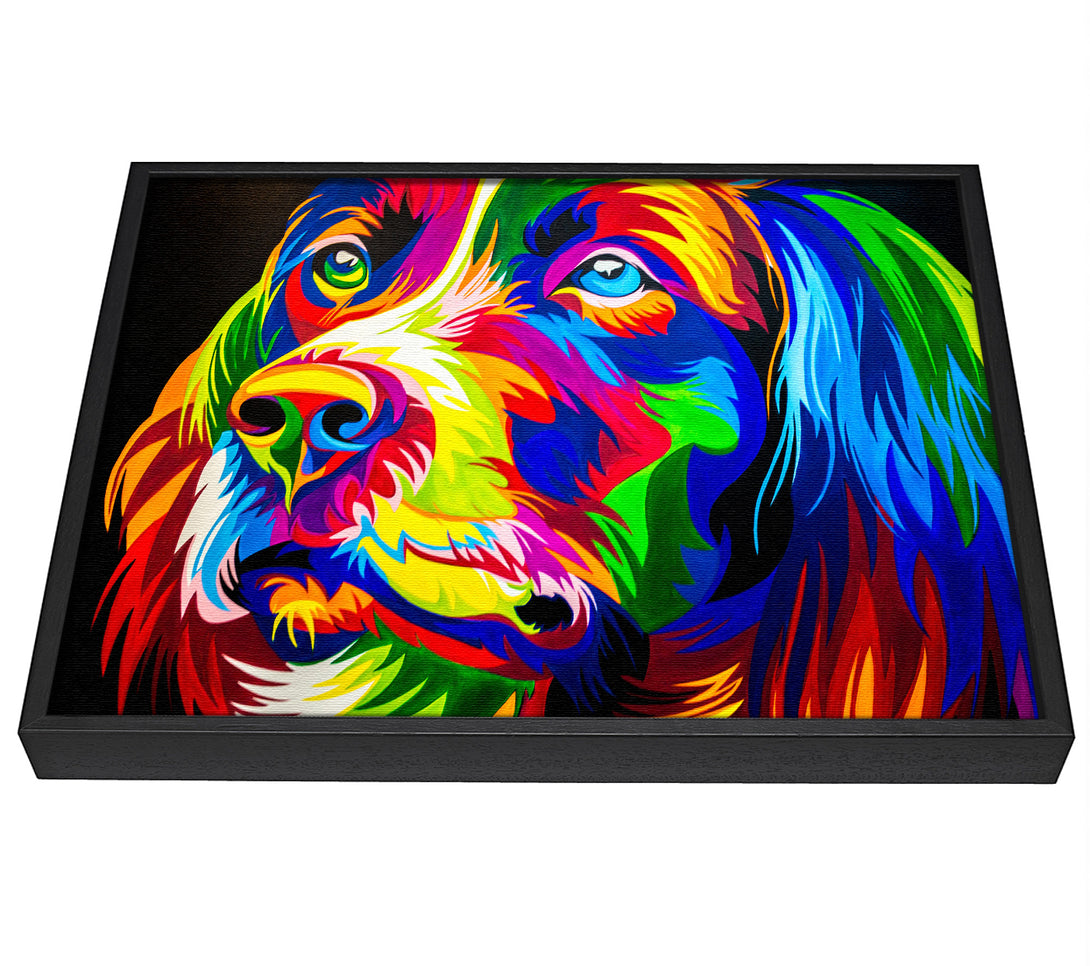 A picture of a The Stunning Colourful Dog framed canvas print sold by Wallart-Direct.co.uk
