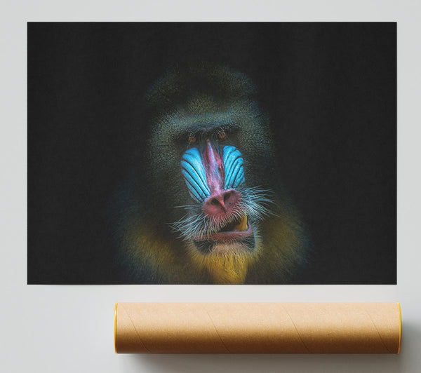 Mandrill Anger