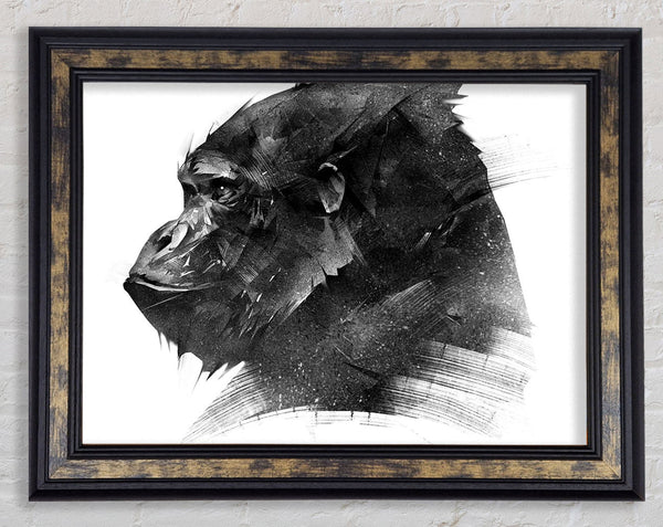 Washed Out Gorilla