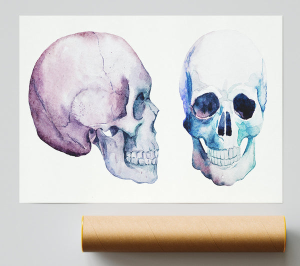 Two Skulls Meet