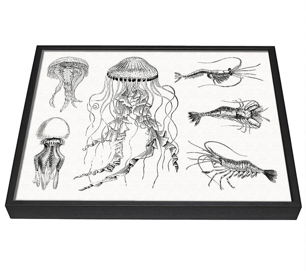 A picture of a Jellyfish And Shrimp framed canvas print sold by Wallart-Direct.co.uk