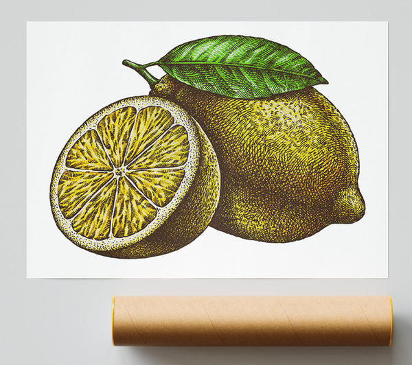 A Lemon Illustrated