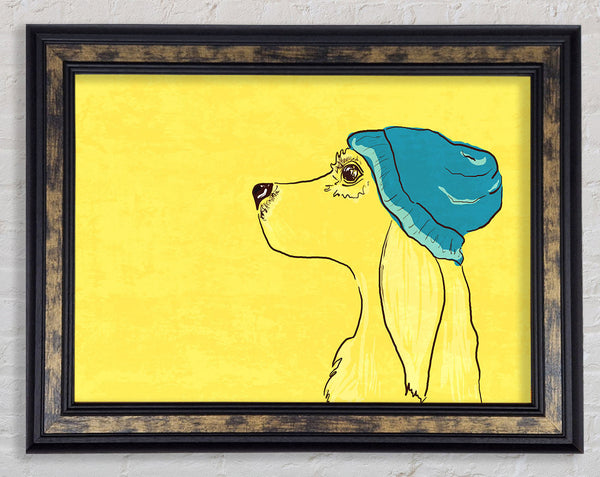 Yellow Dog With Blue Hat