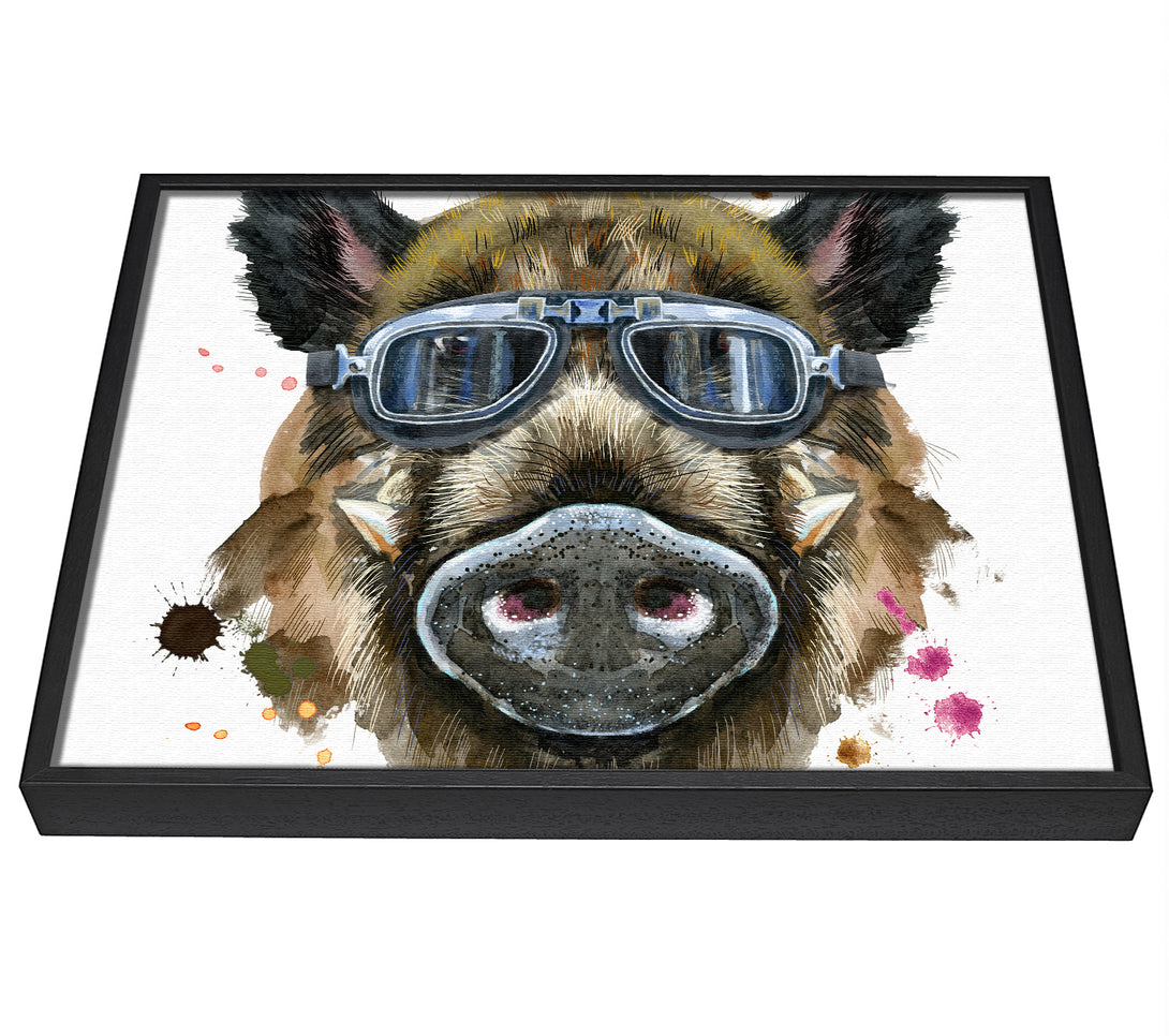 A picture of a The Boar In Glasses framed canvas print sold by Wallart-Direct.co.uk