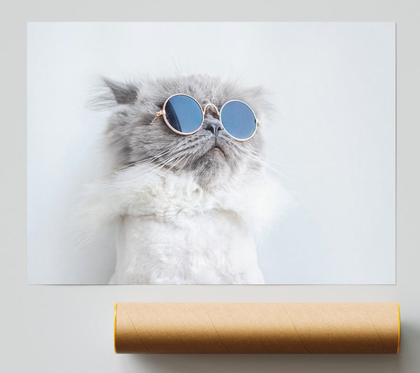 The Cat In Glasses