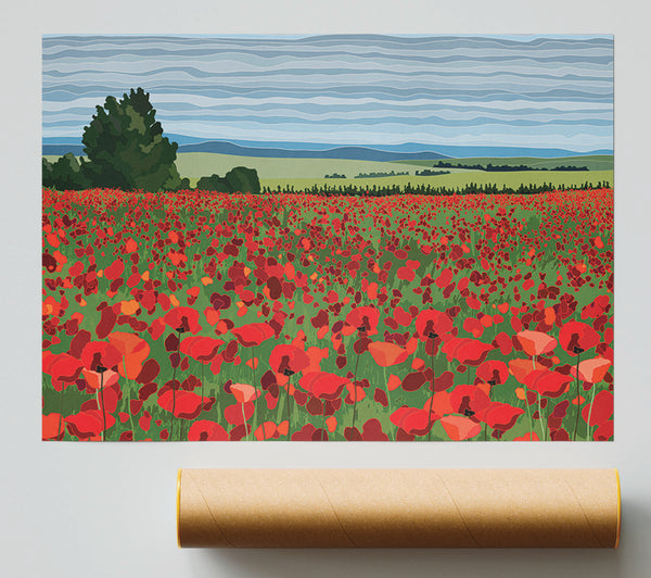 Red Poppy Field Flowers