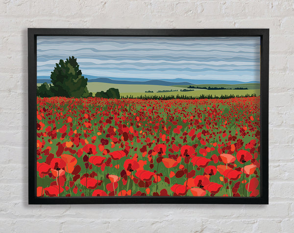 Red Poppy Field Flowers