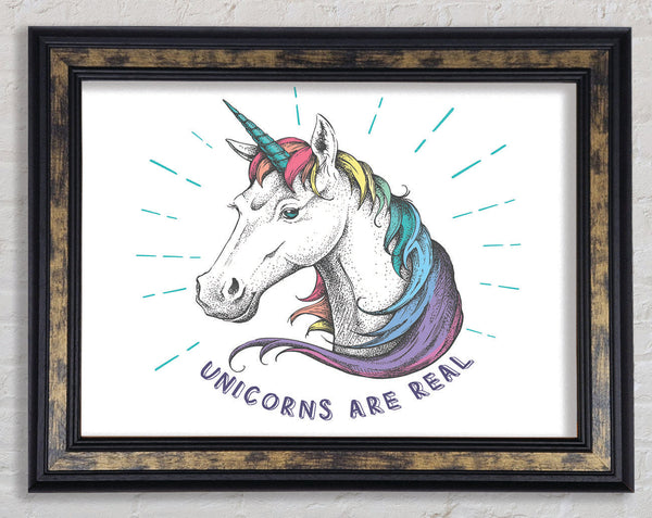 Unicorns Are Real