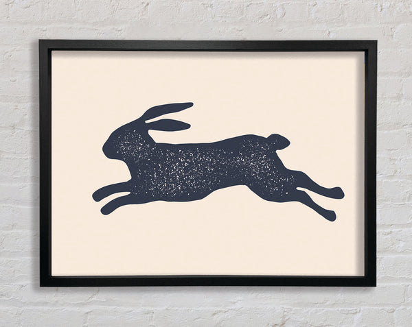 The Bouncing Hare