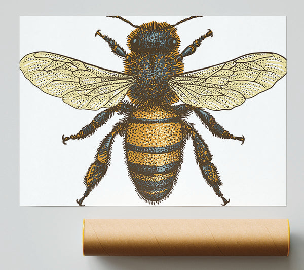 A Bee Illustrated