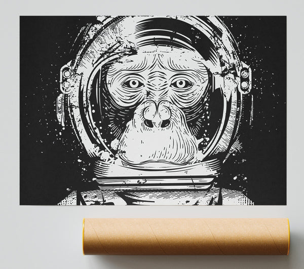 Space Monkey