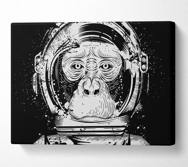 Space Monkey