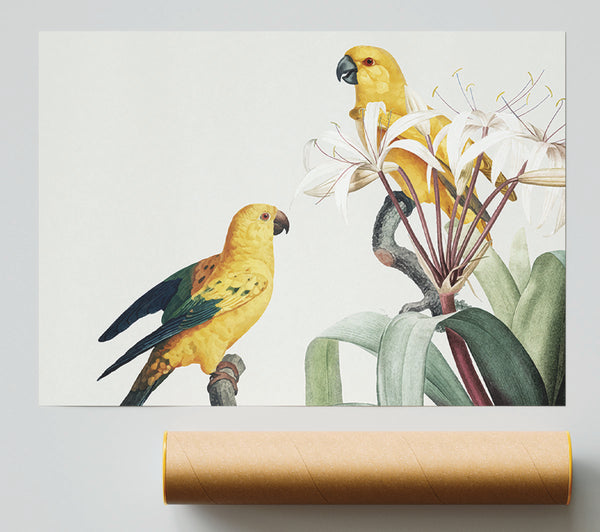 Two Yellow Parrots